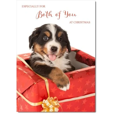 Image of doodlecards To Both of You Christmas Card Dog in Parcel Medium Size for with Plain Envelope