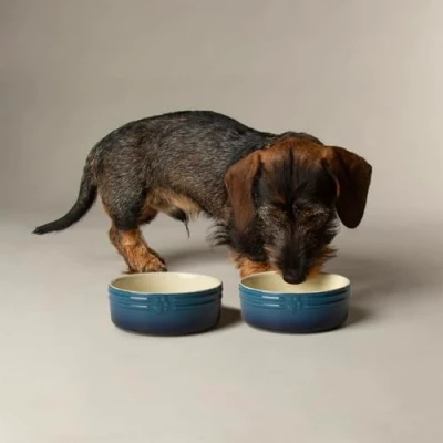 Image of Scruffs Ombre 2pc Ceramic Dog/Pet Bowl Set Blue 13cm