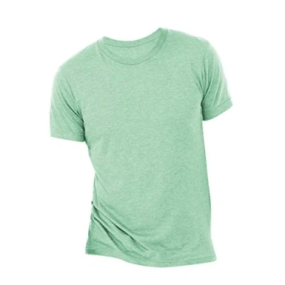 Image of Canvas Mens Triblend Crew Neck Plain Short Sleeve T Shirt (L) (Mint Triblend)
