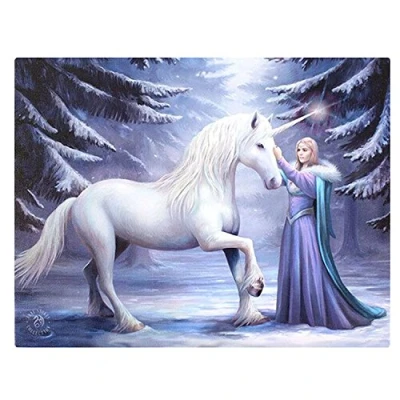 Image of Spirit of Equinox AS_36926 Canvas Plaque Pure Magic by Anne Stokes H19 W25cm x D1.4cm Pack 1, multicolor