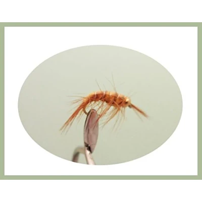 Image of 6 Pack of Gold Head Shrimp Nymph Trout Grayling Fishing Flies, Choice Sizes (6/8)