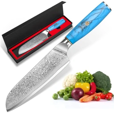 Image of Santoku Knife Damascus Knife, Fish with Extremely Sharp 17.5 Cm Blade Made of 67 Layers Vg 10 Steel Ergonomic Natural Resin Handle, Gift Box