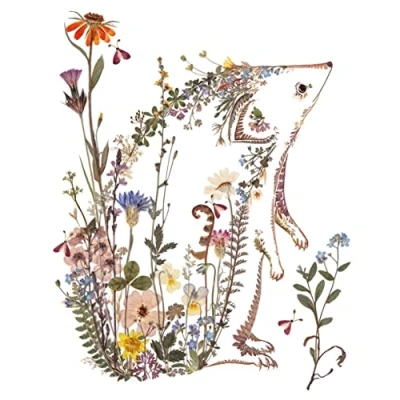 Image of Museums &amp; Galleries Artistic Blank Greetings Card From The Wild Press Range Suitable For Birthdays, Anniversaries and Other Occasions Him/For Her (Hedgehog)