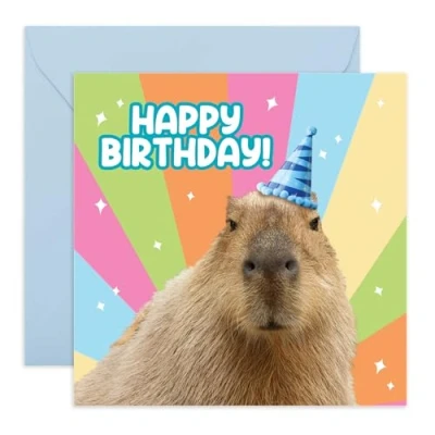 Image of Central 23 Happy Birthday Card For Men Women Capybara Wearing Party Hat Funny Cards Him Her Friend Greeting Mum Sister Niece Nan Auntie Comes With Stickers
