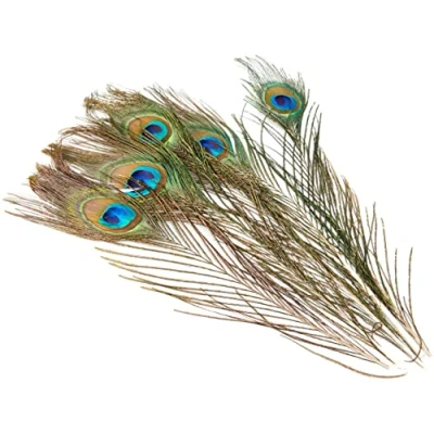 Image of Efco 1003410 Peacock 200 300 mm 5 pcs, Feathers, Green, 12 x 2 cm