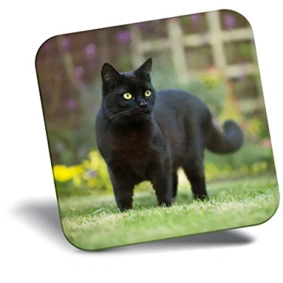 Image of Destination Vinyl ltd Fridge Magnet Hunting Black Cat Kitten Pet 2604