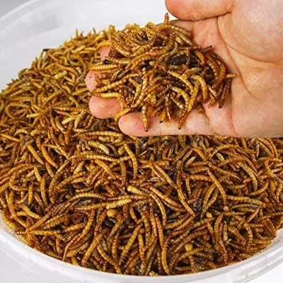 Image of GardenersDream Dried Mealworms Premium Garden Wild Bird Food Mix Balanced Formula Protein Rich Great Source of Energy Contains Beneficial Mixed Vitamins Large Variety (1L Tub)