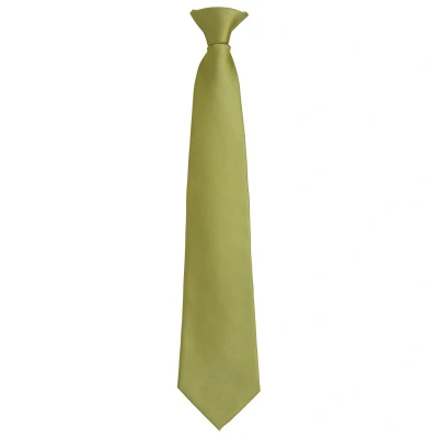 Image of Premier Unisex Adult Colours Fashion Plain Clip On Tie (Grass Green) One Size