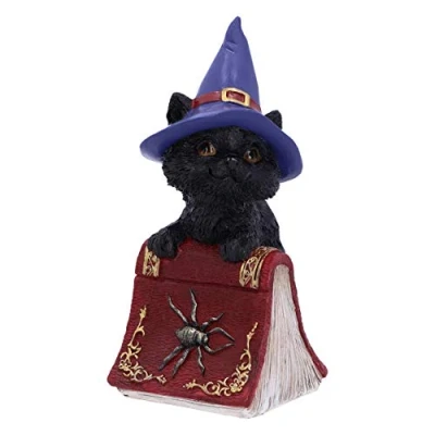Image of Nemesis Now Hocus Small Witches Familiar Black Cat and Spellbook Figurine, Red, 12.7cm U5231S0