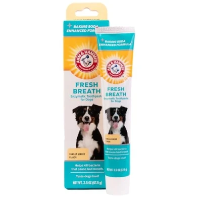 Image of Arm &amp; Hammer Fresh Breath Enzymatic Toothpaste for Dogs, Vanilla Ginger 67.5 g (Pack of 1)