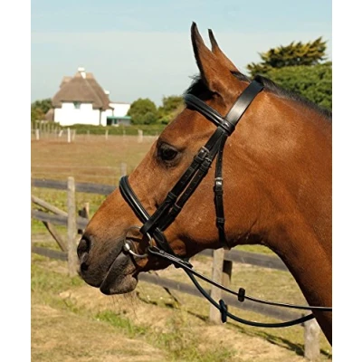 Image of Heritage English Leather Horse or Pony Bridle With Raised Padded Cavesson Noseband (Cob, Havana Brown)