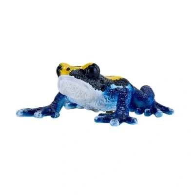 Image of Poison Dart Frog Blue