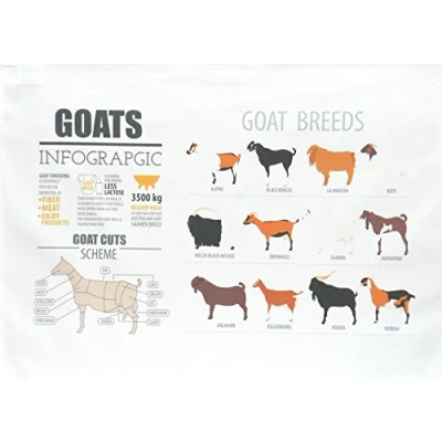 Image of Half a Donkey Goat Infographic Large Cotton Tea Towel