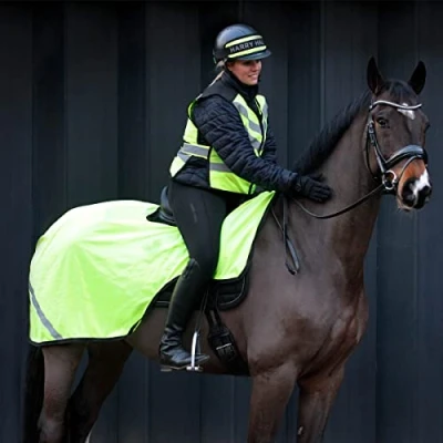 Image of Masta High Viz Mesh Wrap Around Horse Exercise Sheet Yellow