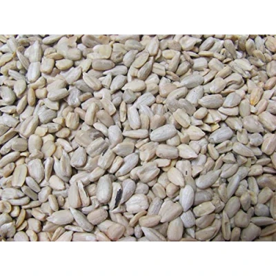 Image of Chubby Sunflower Hearts For Wild Birds, High Energy Bird Food, Oil Rich Seed 20kg