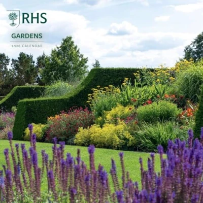 Image of 2026 CALENDAR RHS MONTH TO VIEW SQUARE WALL OFFICIAL PRODUCT