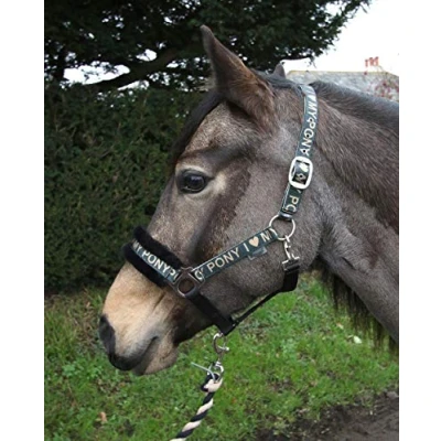 Image of Rhinegold Love My Pony Headcollar &amp; Rope Set