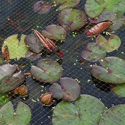 Image of Garden MILE® 2m x 10m Black Pond Plant Netting Protector Mesh Pest Control For Fruit Veg Pea Growth Fish Koi Tidy Durable Net Stretch Fencing Covers Against Leaves Predator Outdoor