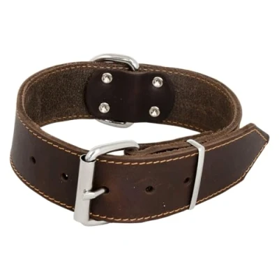 Image of JACK AND VANILLA, Large Dog Collar, Fat Leather, Brown, Size 40 mm x 55 cm