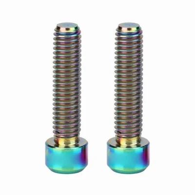 Image of 2Pcs Disc Brake Bolts, Titanium Alloy M6 X 25mm Bicycle Screw Bolts for Mountain Bike Caliper (Multicolor) Ride