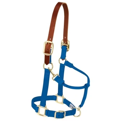 Image of Weaver Leather Nylon Adjustable Breakaway Horse Halter, Average, Blue