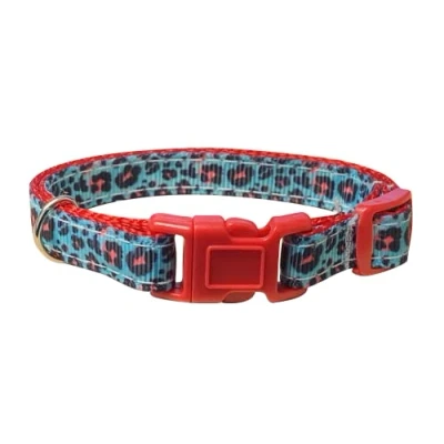 Image of Spoilt Rotten Pets Turquoise &amp; Pink Snazzy Leopard Print Cat Collar with Safety Buckle and Detachable Bell Made in The UK