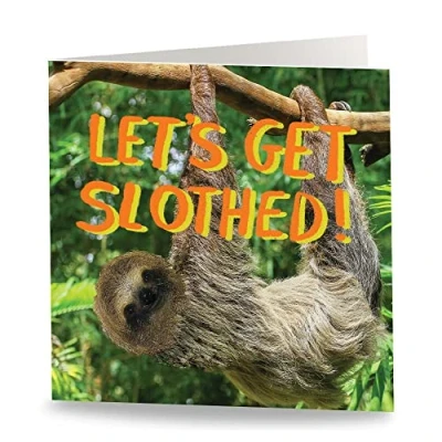 Image of Maturi &#039;Let&#039;s Get Slothed&#039; Funny Humorous Birthday Greetings Card Blank Inside, 15.5 x cm
