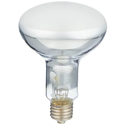 Image of Trixie ProSun Mixed D3 Self Ballasted UV B Lamp, 100 Watt, 125 ﾗ 285 mm