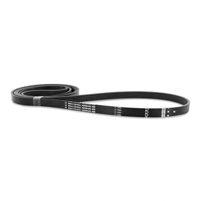 Image of DL pro V ribbed belt compatible with Miele 5689130 1880PJ5 1880 PJ 5 PJ5 drive drum for tumble dryers