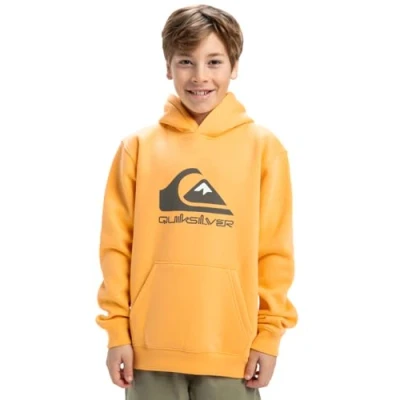 Image of Quiksilver BIG LOGO Hoodie Youth Unisex for kids, Size: 14y, Chamois