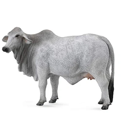 Image of CollectA Brahman Cow