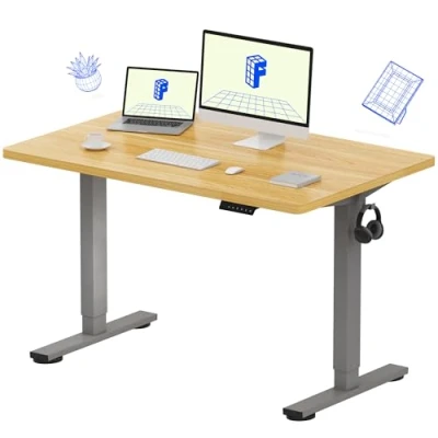 Image of FLEXISPOT Electric Height Adjustable Standing Desk Sit Stand Up with Memory Smart Pannel EF1 SERIES(120 * 80cm, Silver Frame+Maple Desktop)
