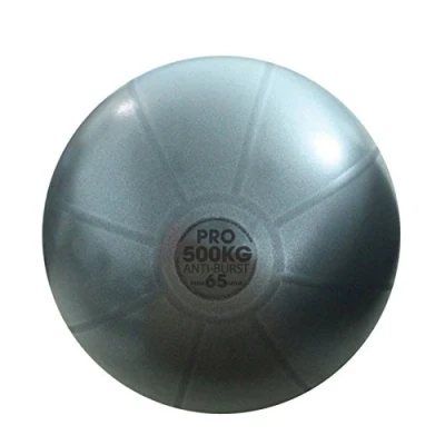 Image of Fitness Mad 500Kg Studio Pro Swiss Ball 55cm