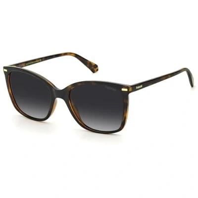 Image of Sunglasses Polaroid Pld 4108/s col. 086/la Woman Square Havana