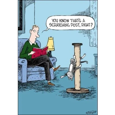Image of Woodmansterne Blank Humour Card Cat Scratching Post Funny for Him/for Her