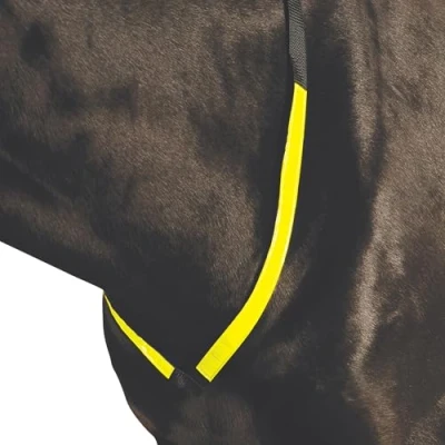 Image of Roma Reflective Breastplate, Yellow, One Size