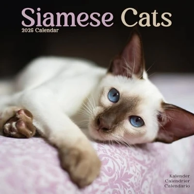 Image of Cats Siamese 2025 Square Wall Calendar Animal, Cat, Pet Calendar: Original Avonside Kalender [Mehrsprachig] [Kalender]