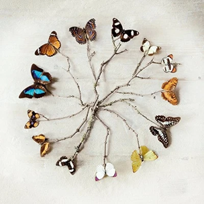 Image of Ian Winstanley &quot;Butterfly Harmony&quot; Canvas Print, Cotton, Multi Colour, 3.20 x 40.00 cm