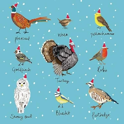 Image of Museums &amp; Galleries Christmas Cards Pack of 5 Festive Birds in Hats Eco Friendly and Recyclable
