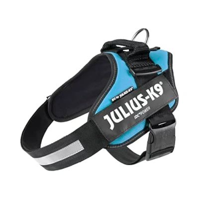 Image of Julius K9, 16IDC AM 1, IDC Powerharness, Size: Aquamarine