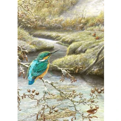 Image of Kingfisher bird Christmas Card. and Pheasant by Dick Twinney Sustainable Wildlife Greeting Card (5x7 inches)
