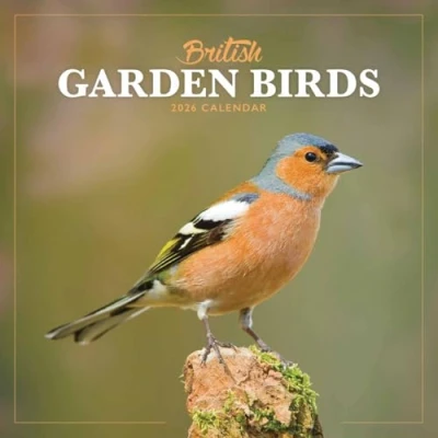 Image of British Garden Birds Mini Calendar 2026