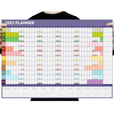 Image of Evelay 2025 Wall Planner Calendar A1 Size (84cm x 59cm) Full Year to view Home Office Work (Rainbow)
