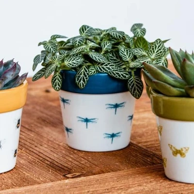 Image of Ivyline Planter, Ceramic, Dragonfly, 7 x 7cm