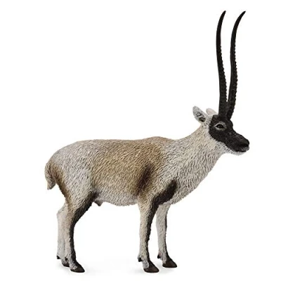 Image of CollectA Chiru