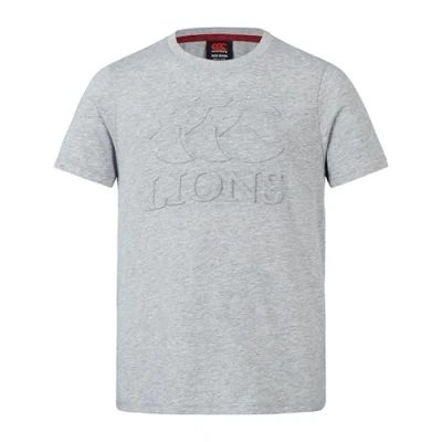 Image of Junior British &amp; Irish Lions Canterbury Monument Tee, Classic Marl, 10