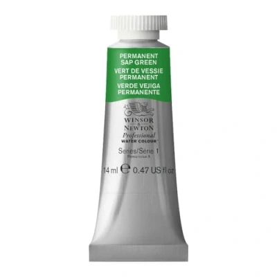 Image of Winsor &amp; Newton 105503 14 ml Tube Professional Water Colour Paint, Permanent Sap Green
