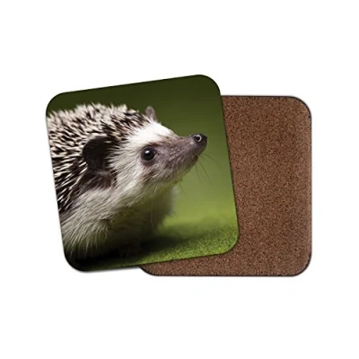 Image of 1 x Cute Hedgehog Cork Backed Drinks Coaster Fun Animal Hog #8246