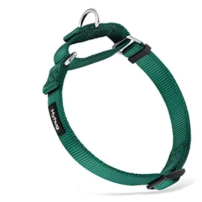 Image of Traffic Nylon Not Escapable Martingale Dog Collar for Large Breeds Boy and Girl Dogs Daily Use Walking Professional Training. (Large, Dark Green)