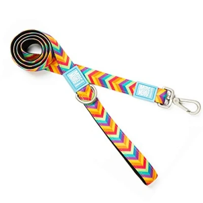 Image of Max &amp; Molly Short Leashes, Summertime